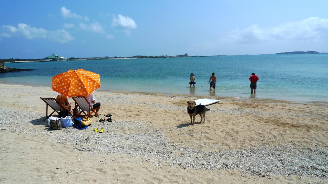 Baisha Penghu Chenhi Bay Homestay المظهر الخارجي الصورة